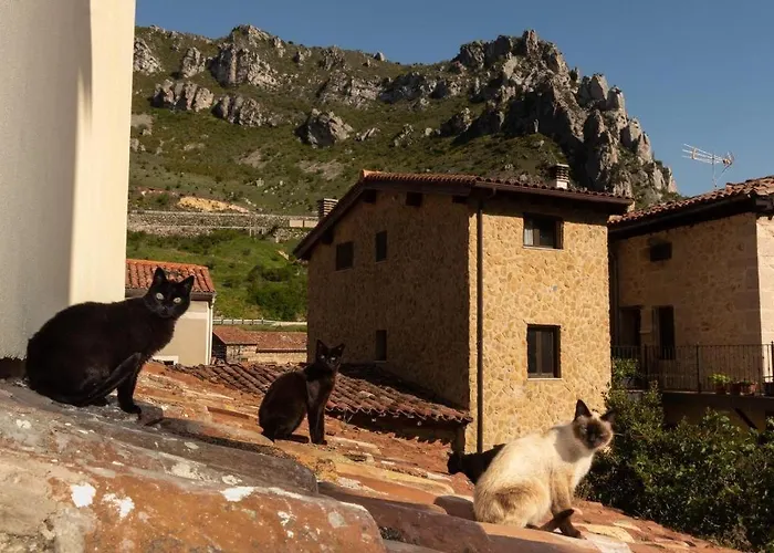 Vakantiehuis Puentecuervo *